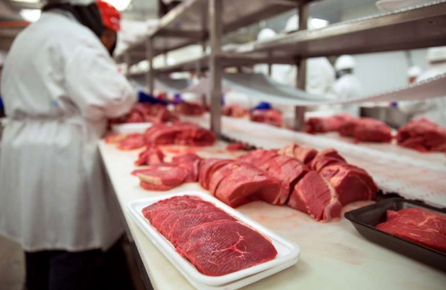 Китайцы вложатся в создание мясомолочного кластера в Джизакской области