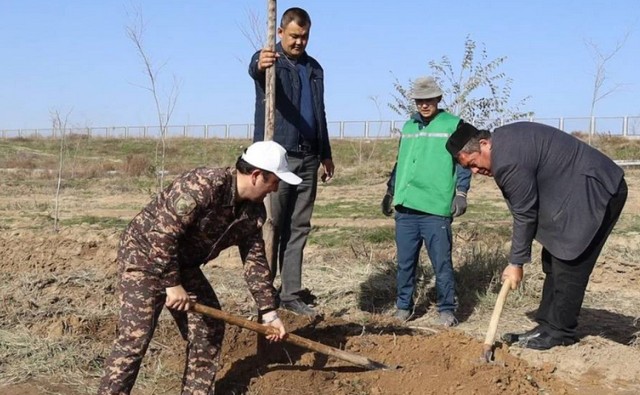 В Джизаке создан большой  запас саженцев