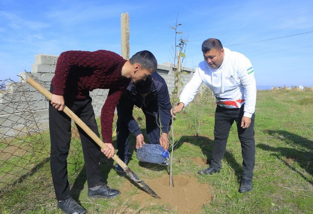 Gʻallaorolda yoshlar tashabbusi bilan bogʻlar tashkil etilmoqda